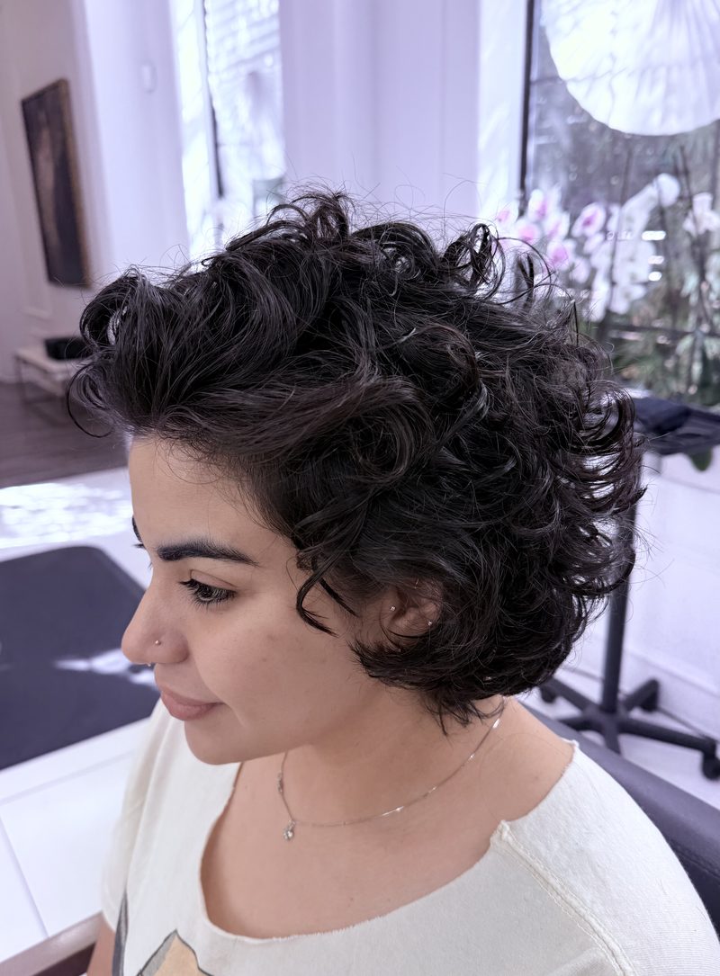 Short curly dark brunette color work